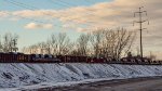 Gondolas and Coil Steel Cars in the yard